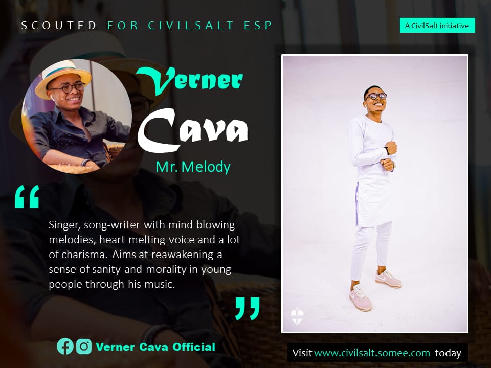 Verner Cava image